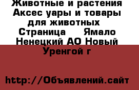 Животные и растения Аксесcуары и товары для животных - Страница 3 . Ямало-Ненецкий АО,Новый Уренгой г.